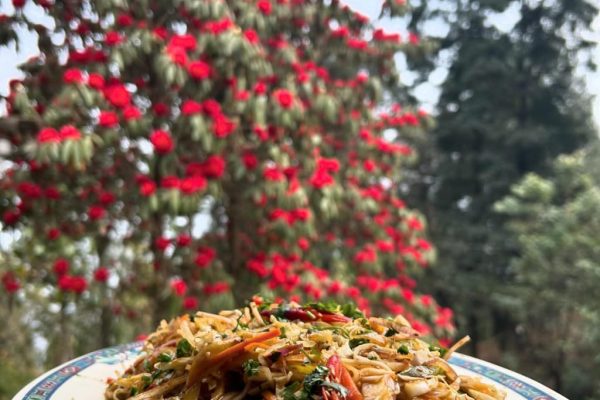 WhatsApp Image 2026-01-13 at 7.20.20 PM