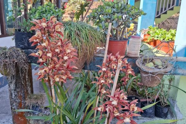 WhatsApp Image 2026-01-13 at 7.39.21 PM